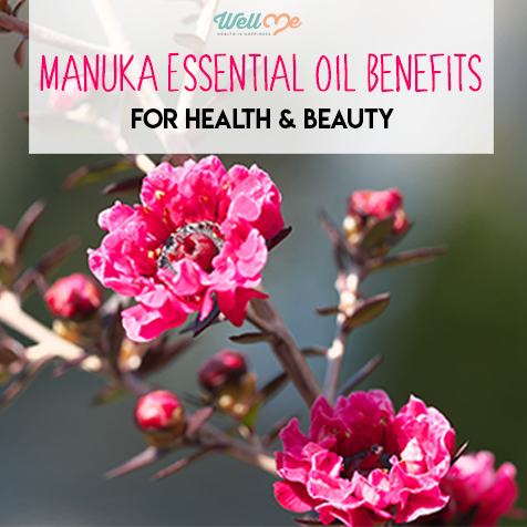 Manuka Essential Oil Benefits for Health & Beauty