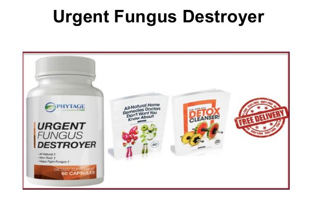 urgent fungus destroyer review