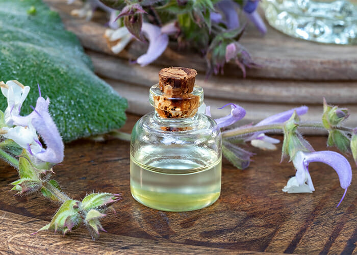 A bottle of homemade clary sage essential oil on a wooden table surrounded by fresh clary sage