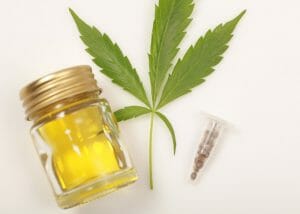 cbd cannabis oil in a small clear jar 