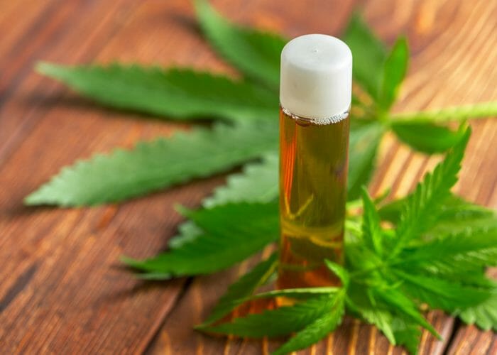 cbd cannabis oil in a clear vial on top of cannabis leaves