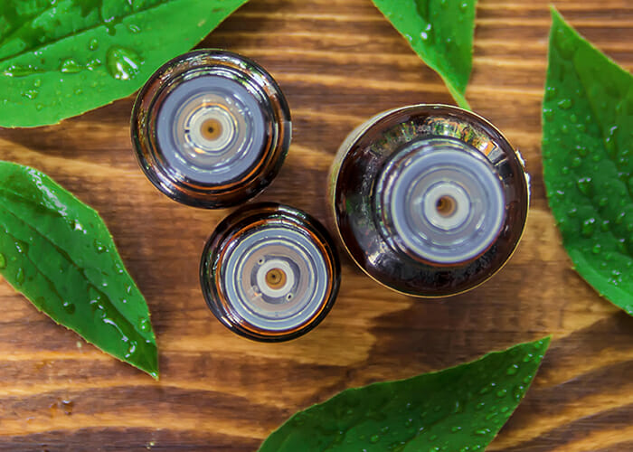 A top-down shot of essential oil bottles filled with tea tree essential oil