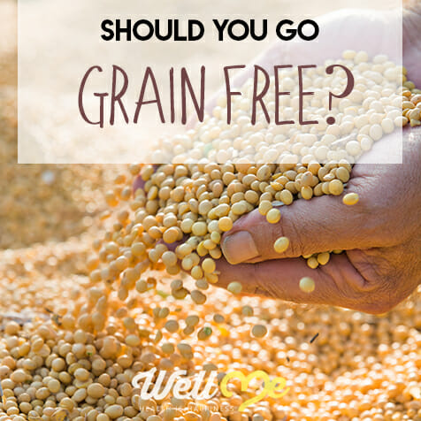 grain free diet title card