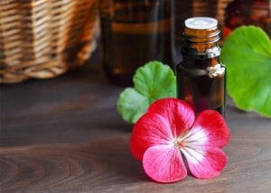 Bottle of geranium essential oil for skin repair and protection next to a fresh geranium flower