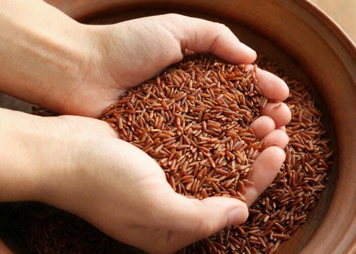 a person holding a handful of gluten free brown rice grains