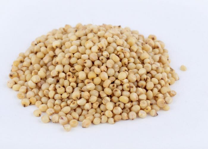 a pile of gluten free sorghum grains on a white table