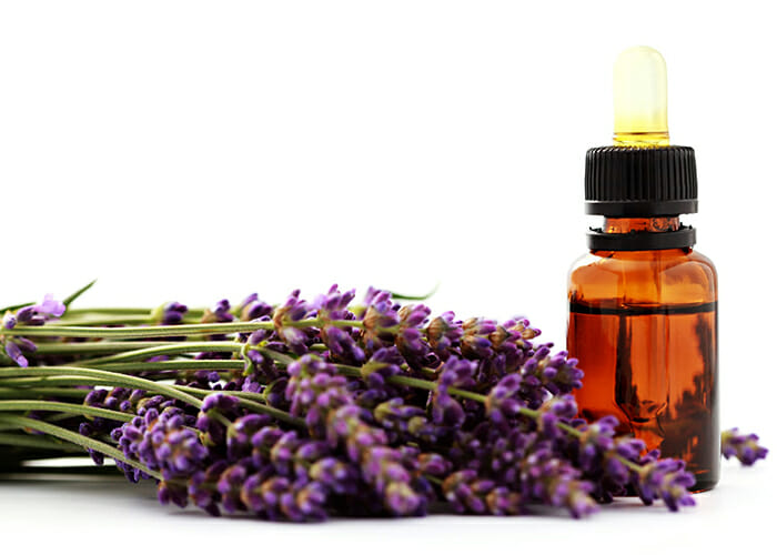 A bottle of lavender essential oil next to a pile of fresh lavender