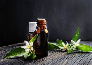 Bottles of neroli essential oil for skin protection surrounded by freshly cut neroli flowers
