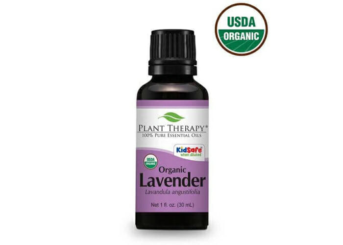 Plant Therapy Lavender Essential Oil bottle