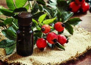 Bottle of rosehip essential oil formulated to fight wrinkles and sagging skin next to fresh rosehip plant