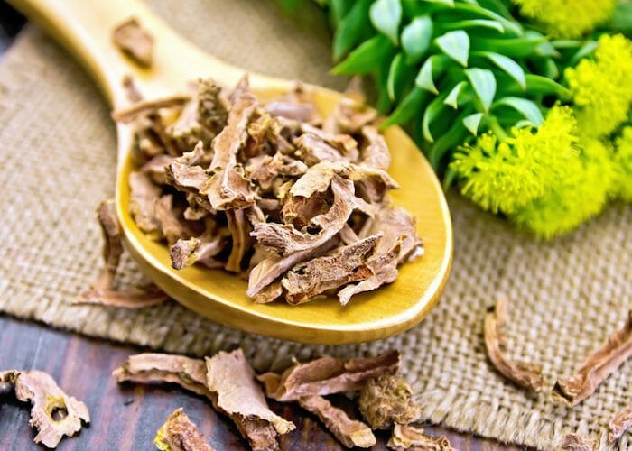 dried Rhodiola rosea on a wooden spoon