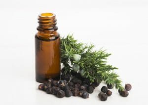 Bottle of juniper and cedarwood blend essential oil