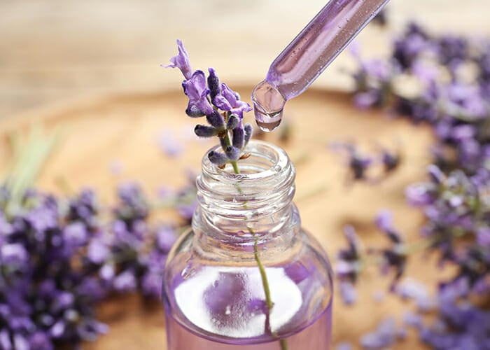 A dropper being used to make homemade lavender essential oil