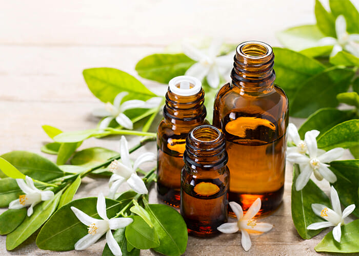 Different sized bottles of neroli oil surrounded by neroli flowers