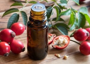 Rosehip essential oil great for eye wrinkles next to a sprig of fresh rosehip