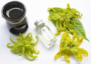 Bottle of Ylang-ylang and cedarwood essential oil blend