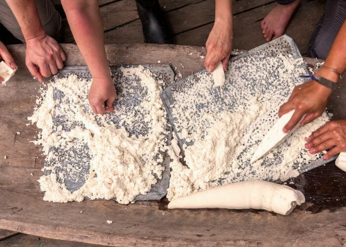 hands grating a white root to make cassava flour